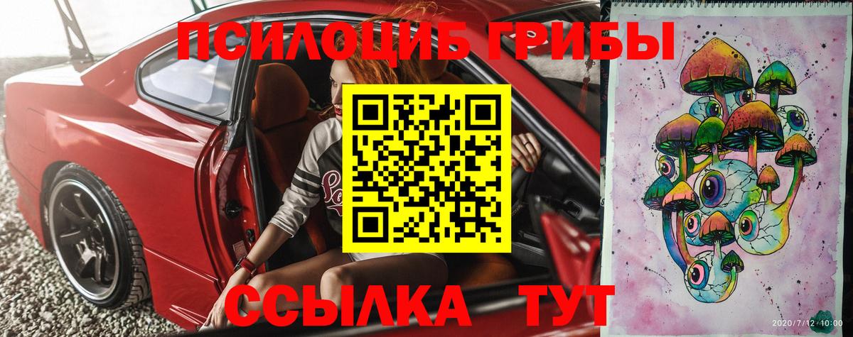 Галлюциногенные грибы Psilocybine cubensis Вязники