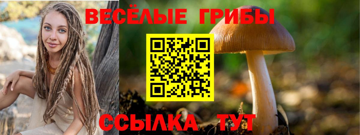 Вязники  Псилоцибиновые грибы ЛСД  Вход с VPN  Галлюциногенные грибы Psilocybine cubensis 